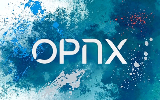 「三无」项目 IEO OPNX 的 Launchpad 到底在愚弄谁？_BAS:PNX