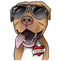PitBULLY|BULLY_BULLY价格_BULLY最新价格_BULLY交易所