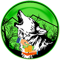 Wolf Safe Poor People (Polygon)|WSPP_WSPP价格_WSPP最新价格_WSPP交易所