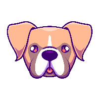 Boxer Inu|BOXER_BOXER价格_BOXER最新价格_BOXER交易所