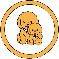 Pi INU|PINU_PINU价格_PINU最新价格_PINU交易所