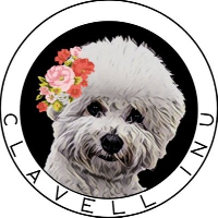 Clavell Inu|CLAVELL_CLAVELL价格_CLAVELL最新价格_CLAVELL交易所