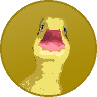 Duckereum|DUCKER_DUCKER价格_DUCKER最新价格_DUCKER交易所