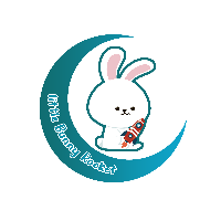 Little Bunny Rocket|LBR_LBR价格_LBR最新价格_LBR交易所
