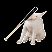 CatBonk|CABO_CABO价格_CABO最新价格_CABO交易所