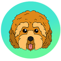 Cockapoo|CPOO_CPOO价格_CPOO最新价格_CPOO交易所