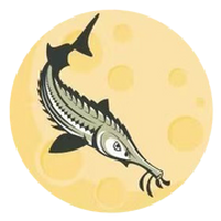 Sturgeon Moon|MOON_MOON价格_MOON最新价格_MOON交易所