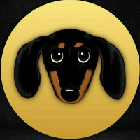 Dachshund|DSD_DSD价格_DSD最新价格_DSD交易所