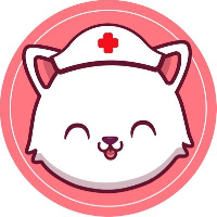 Nurse Cat|NCAT_NCAT价格_NCAT最新价格_NCAT交易所