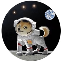 Dogz|DOGZ_DOGZ价格_DOGZ最新价格_DOGZ交易所