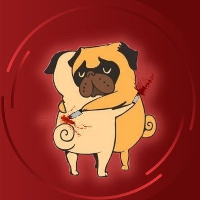 BackstabDoge_BackstabDoge币价格_BackstabDoge最新价格_BackstabDoge交易所
