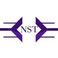 Newsolution|NST_NST价格_NST最新价格_NST交易所