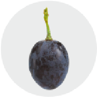 Grape|GRAPE_GRAPE价格_GRAPE最新价格_GRAPE交易所