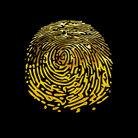 FingerPrint|FGP_FGP价格_FGP最新价格_FGP交易所