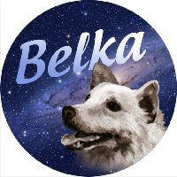 Belka|BLK_BLK价格_BLK最新价格_BLK交易所