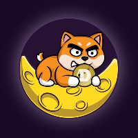 AngryFloki|$AFLOKI_$AFLOKI价格_$AFLOKI最新价格_$AFLOKI交易所