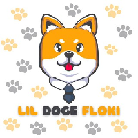 Lil Doge Floki|LDF_LDF价格_LDF最新价格_LDF交易所