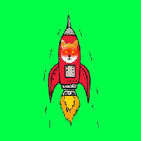 Rocket Shib|ROCKETSHIB_ROCKETSHIB价格_ROCKETSHIB最新价格_ROCKETSHIB交易所