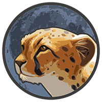 Token Cheetah|CHTT_CHTT价格_CHTT最新价格_CHTT交易所